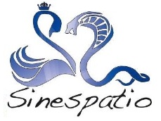 logo sinespatio